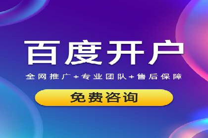 某公司通过百度竞价实现业务快速增长的案例